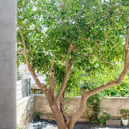 Efthymis * Αργοστόλι
